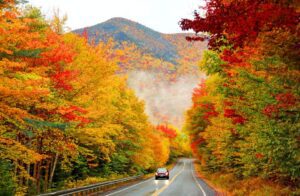 A winding road surrounded by dense autumn foliage along the Kancamagus Highway in New Hampshire, showcasing the vibrant fall colors.